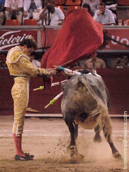 Estatuarios en el pr�logo