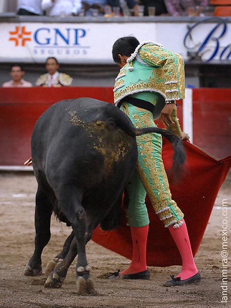 Imposible m�s ce�ido