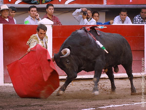 La muleta de Roberto Gal�n