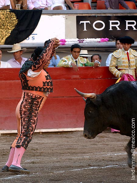 En la cara del astado