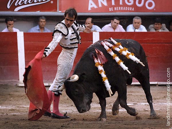 Reposo en los muletazos