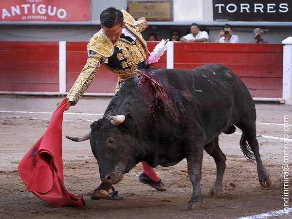 Mario estuvo inspirado