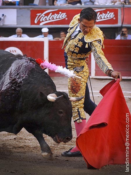 Muletazo de vuelta entera