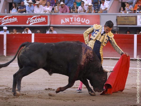 Suavidad en los naturales