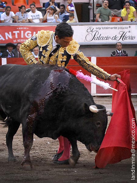 Torero ortodoxo
