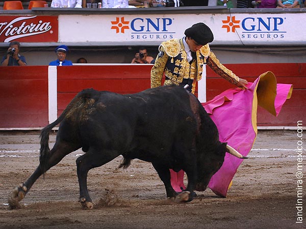 Las ver�nicas de Mario Aguilar