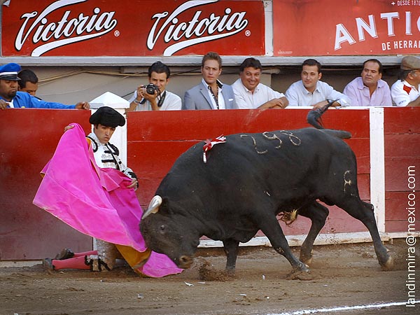 Ver�nicas rodilla en tierra