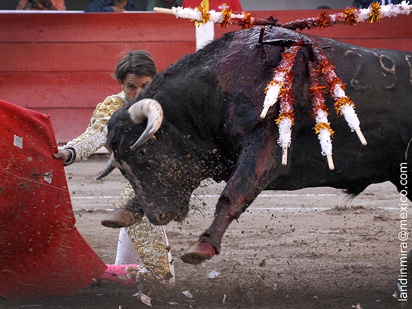 Emoci�n en la muleta