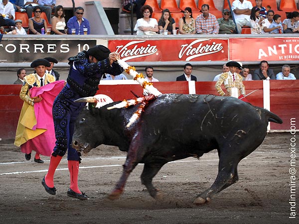 Diego Bricio en banderillas