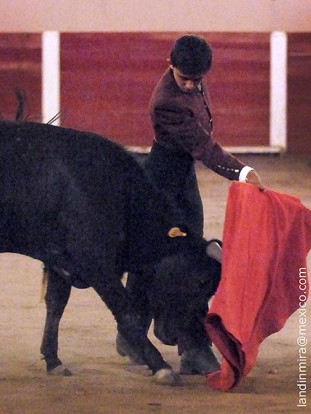 De la dinast�a de los S�nchez