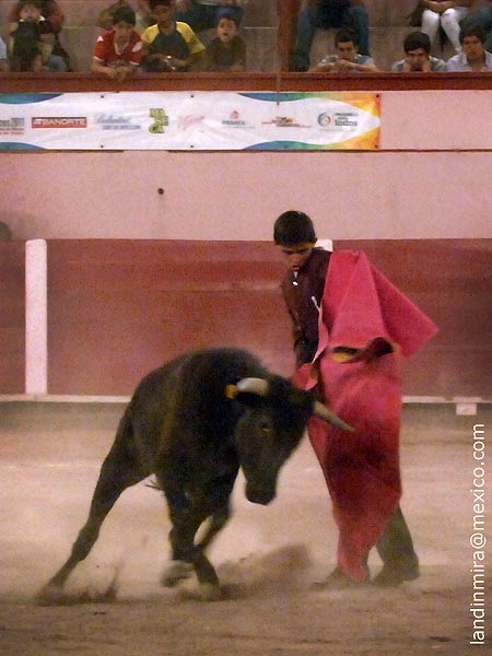 El capote de Diego S�nchez