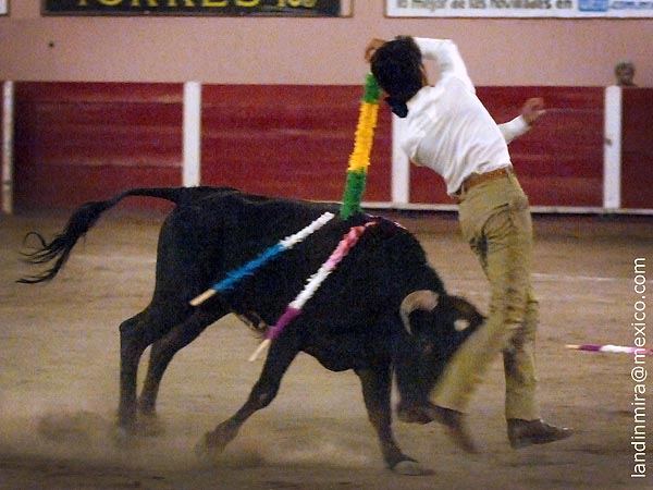 Exponiendo en el viol�n