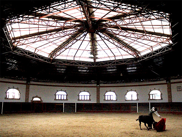 La belleza del tentadero