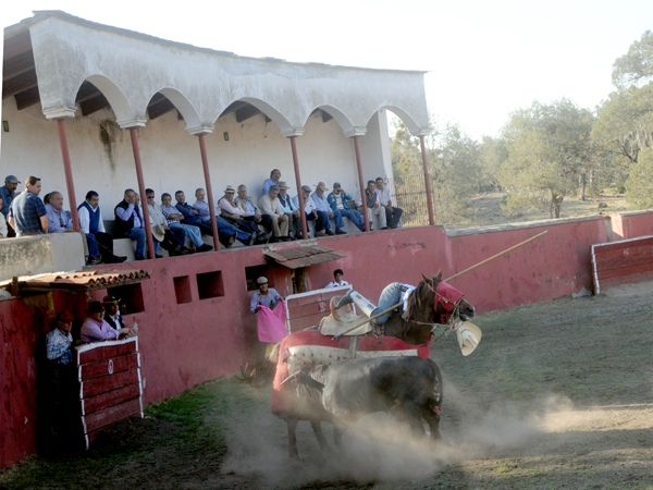 Mateo se agarra desesperadamente