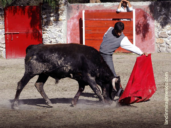 Dimensi�n al natural