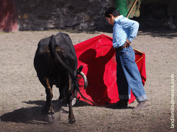 Luis David en sus pinitos