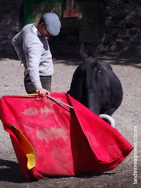 Conduciendo con la mu�eca