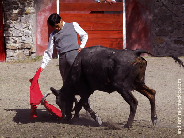 Disfrutando de la vaquilla