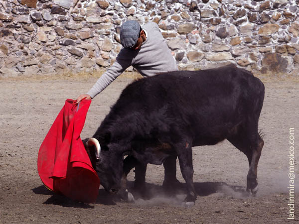 La muleta de Pepe Vargas