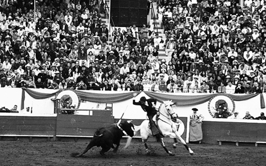 Lleno arriba, Hermoso abajo