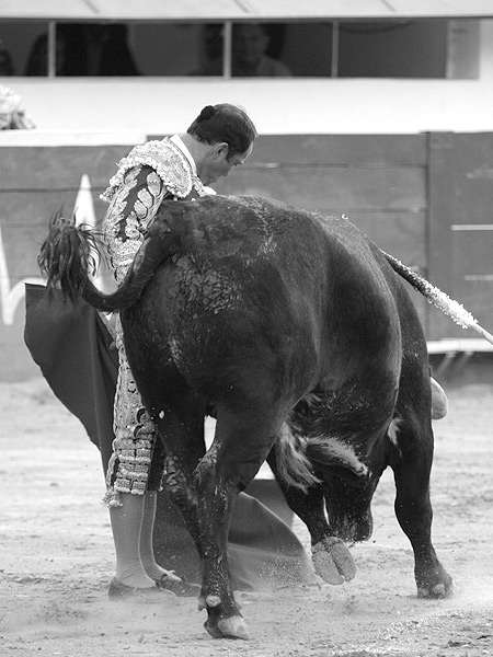 Naturalidad y torer�a