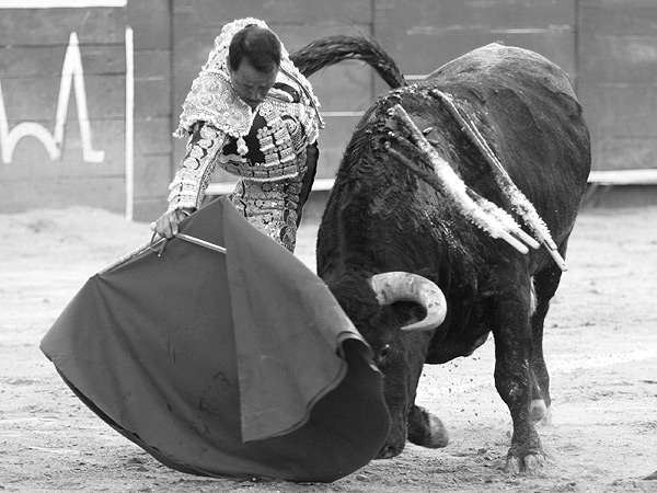 Fundidos a trav�s del sentimiento