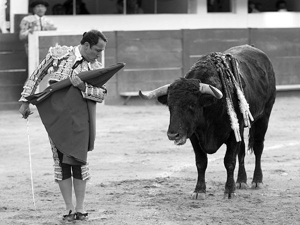 La sencillez de un desplante