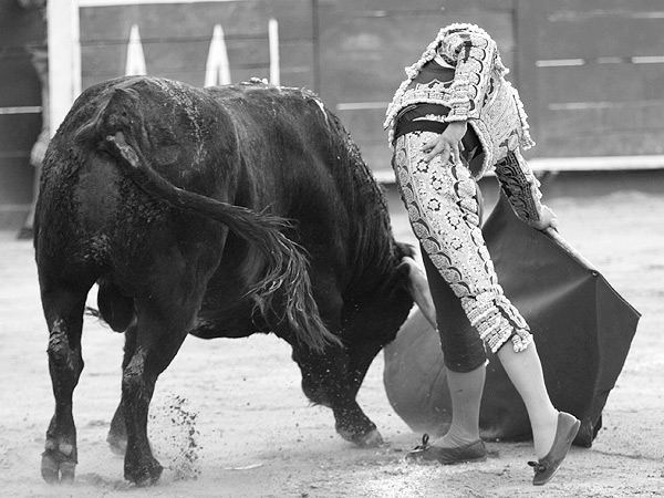 Acompa�ando la embestida