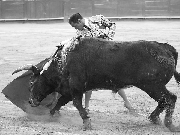 Un cl�sico del toreo