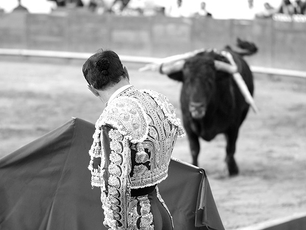 Esperando la arrancada