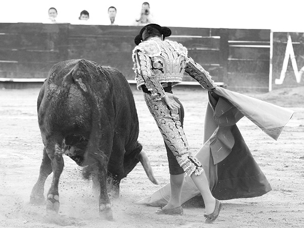 Soltando la punta del capote