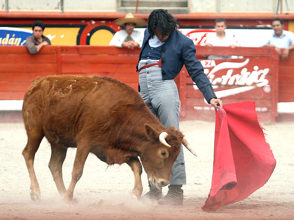 Detalle de Jos� Rub�n Arroyo