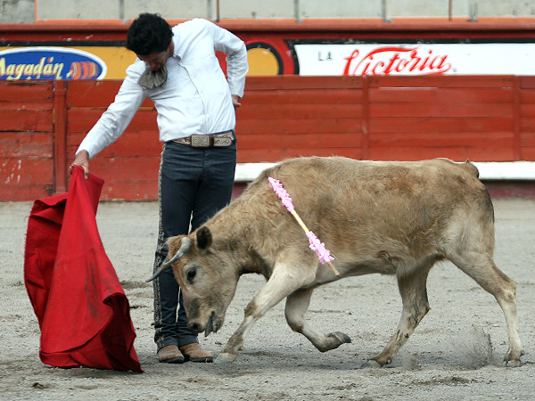 Raro, Jer�nimo vertical