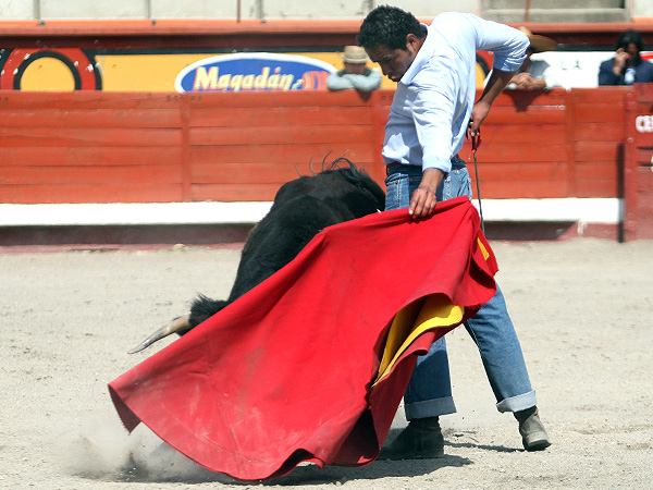 Angelino ce�ido y sentido