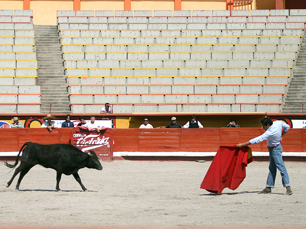La de la Luz se arranc� de largo