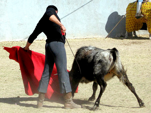 Sometiendo la embestida