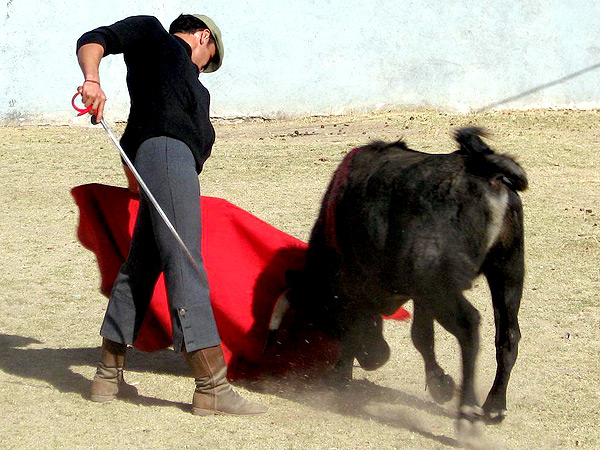 Sintiendo el natural
