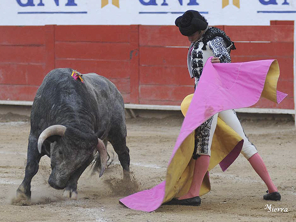 Bustamante, a la ver�nica