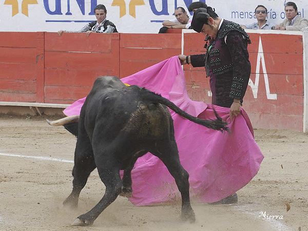 Ante la mira de Bustamante