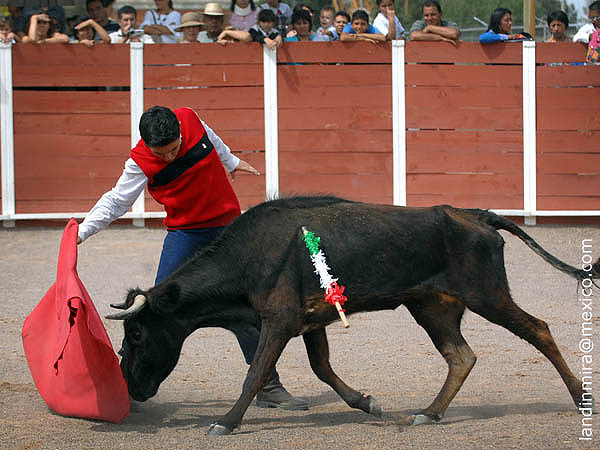 Expresivo, Roberto Fern�ndez