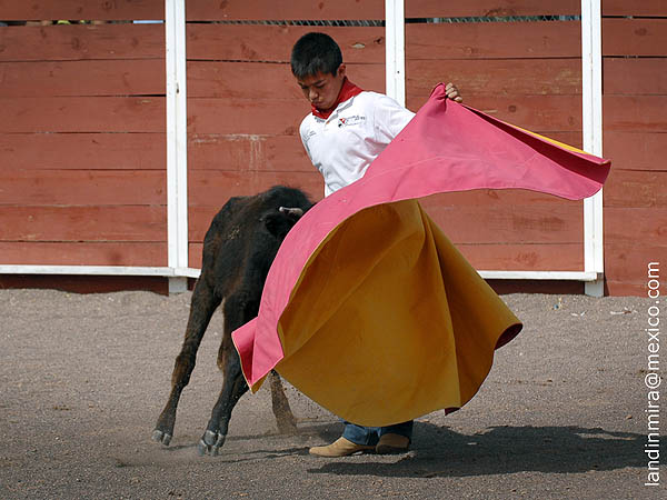 El capote de Luis Fernando