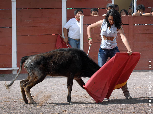 La muleta de Fernanda Femat