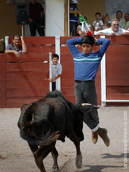 Un par de David Adame