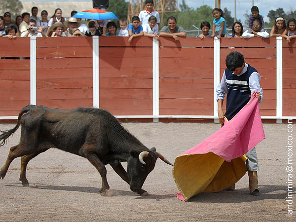 Inicia Joel Delgado Panita