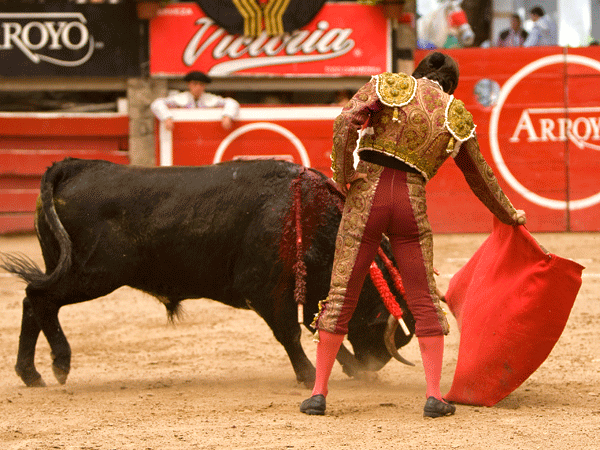 Se noto la inactividad