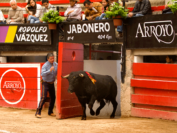 Jabonero , arrastre lento