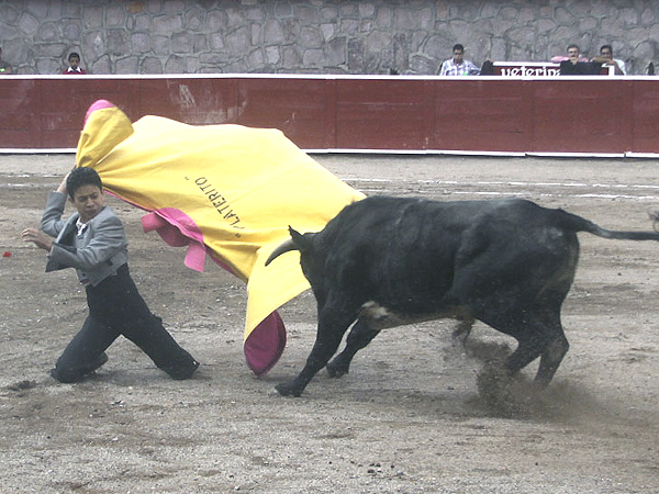 Sali� a darlo todo