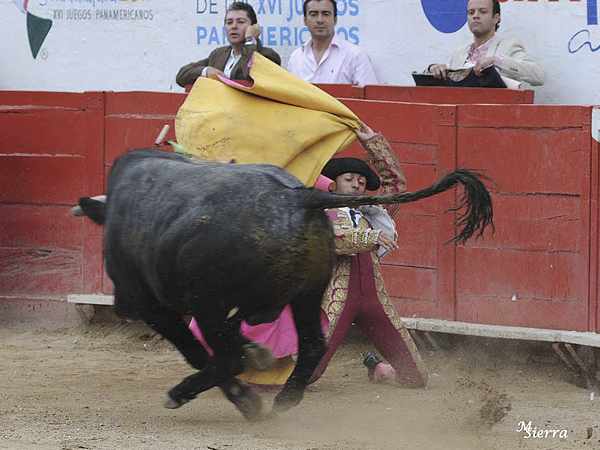 Larga de Rodr�guez