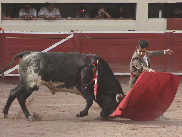 Un adorno de Guillermo Ibarra
