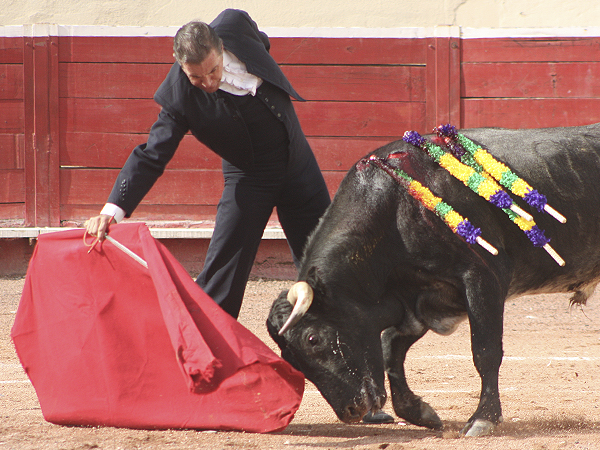 El temple de Paco D�ddoli